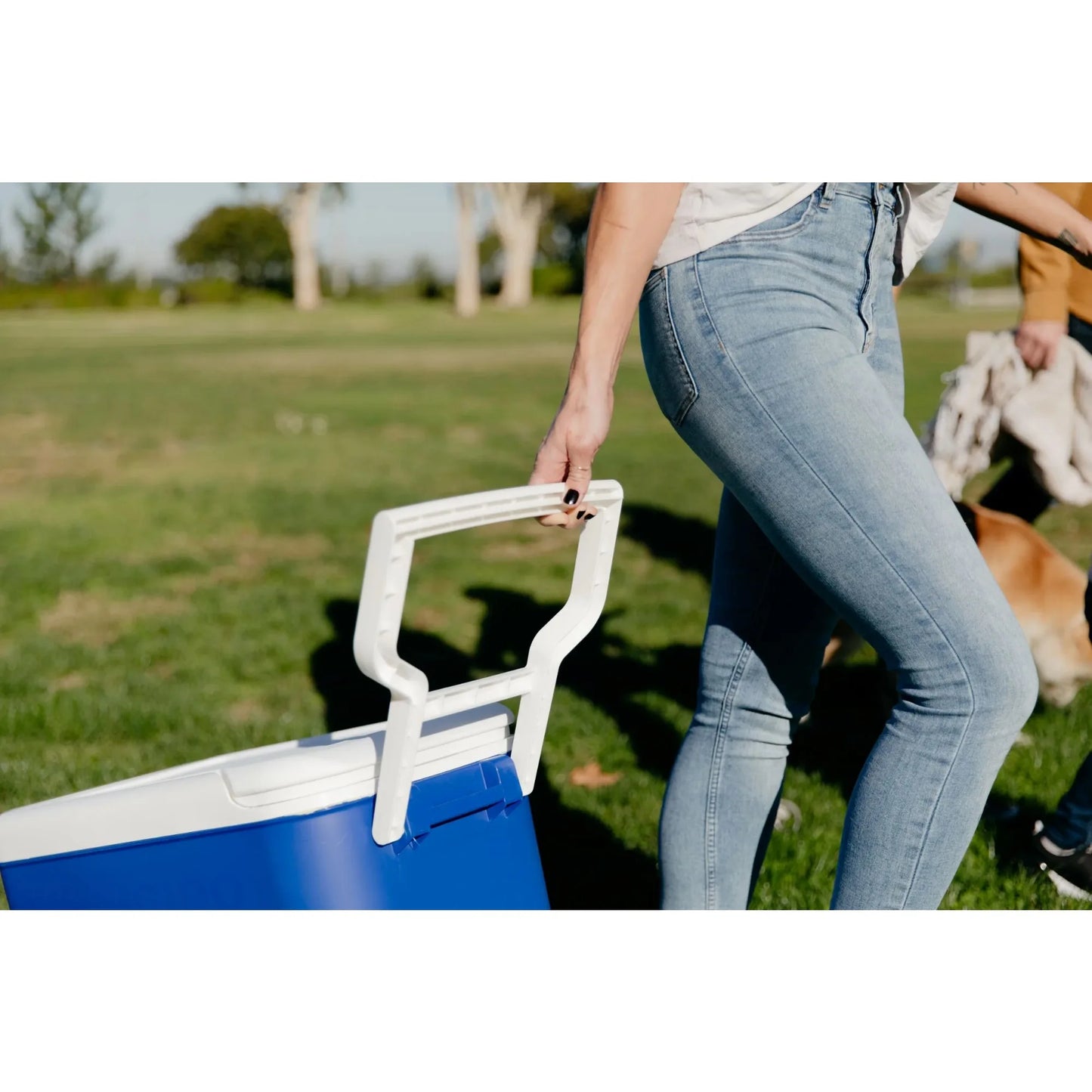 Hard-Sided Wheeled Cooler