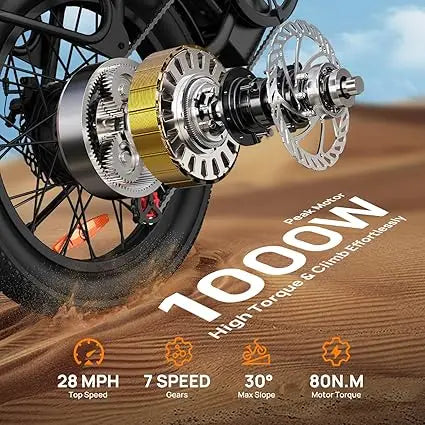 URLIFE 1000W E20 Electric Bike With Removable 48V Battery 20MPH