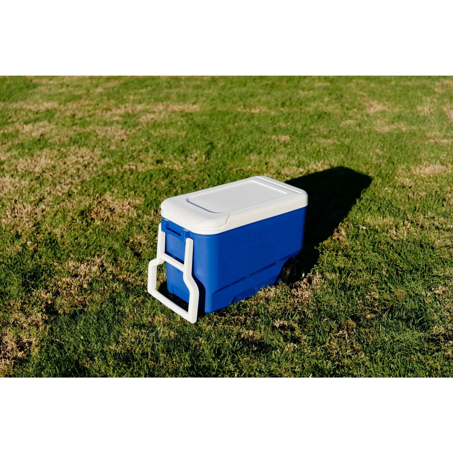 Hard-Sided Wheeled Cooler